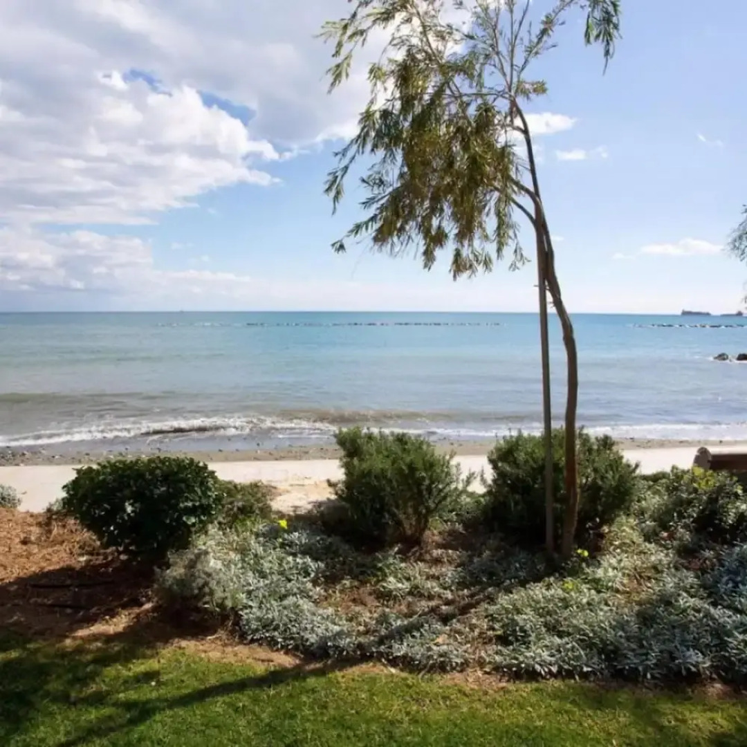 Opera Exclusive Studio