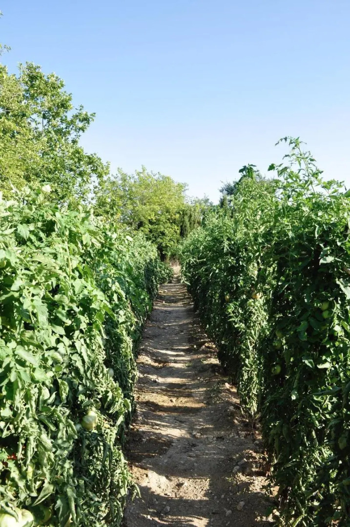 Hotel Rural La Paloma