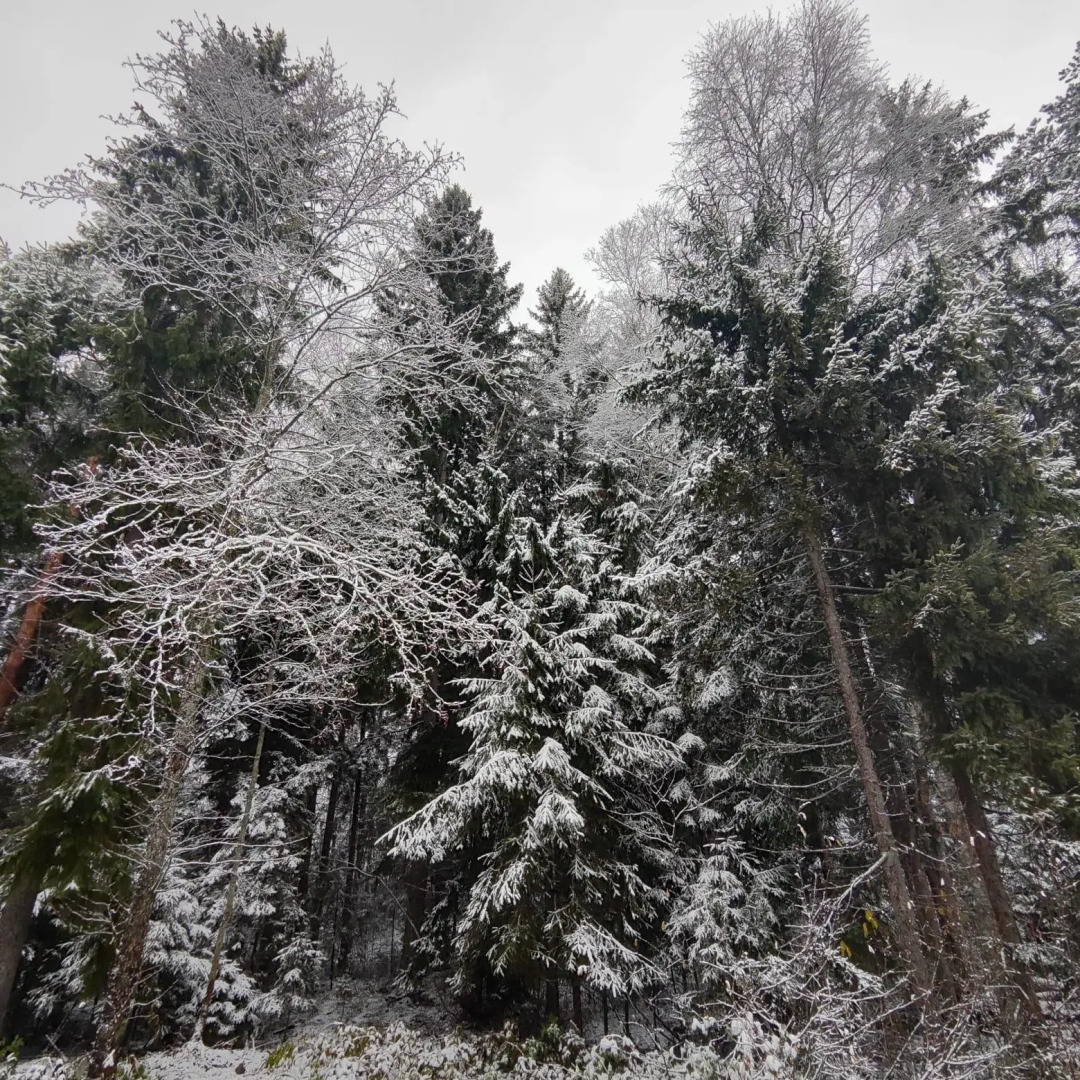 Инкерилофт