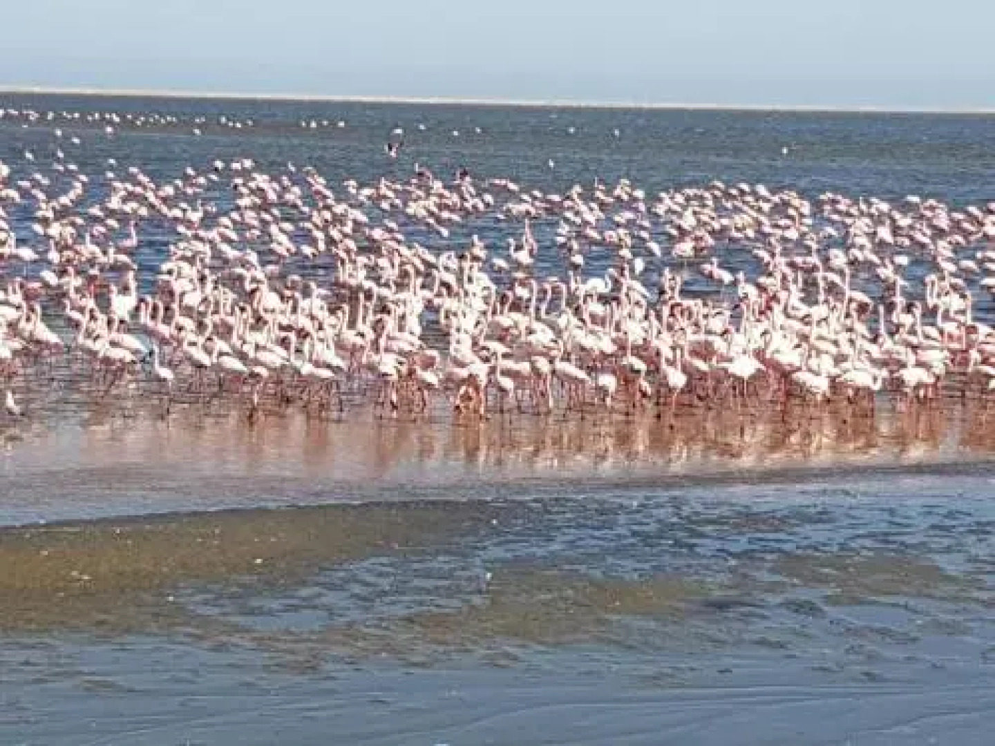 Elilo Bed And breakfast