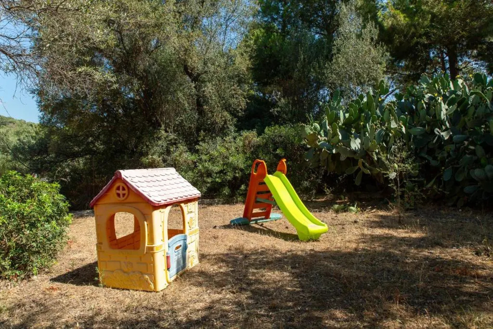 Lilly - Lovely small Villa among Olive Trees