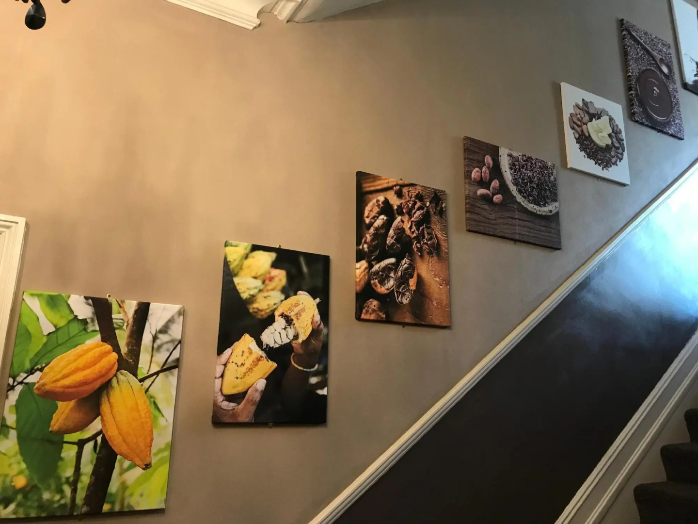 The Chocolate Boutique Hotel