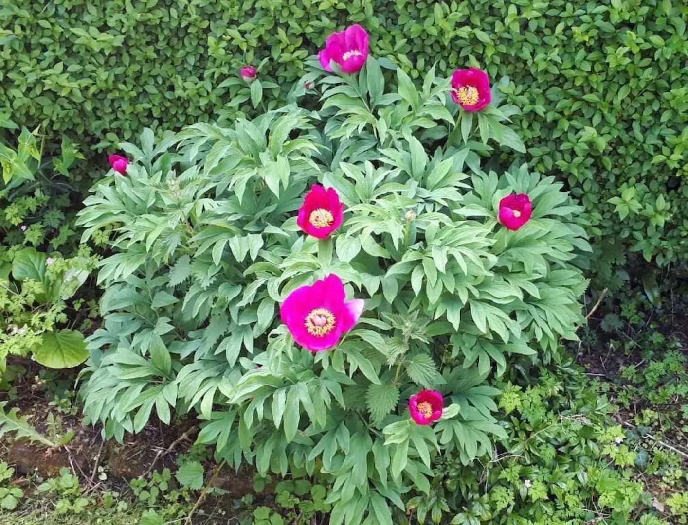 Pendine Sands Guesthouse