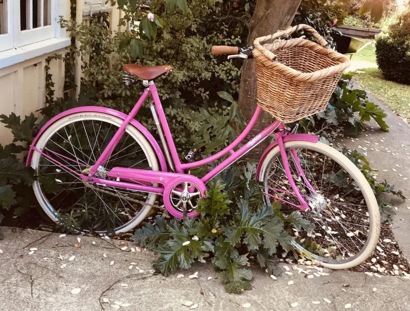 Prodigal Daughter Gourmet Lodge