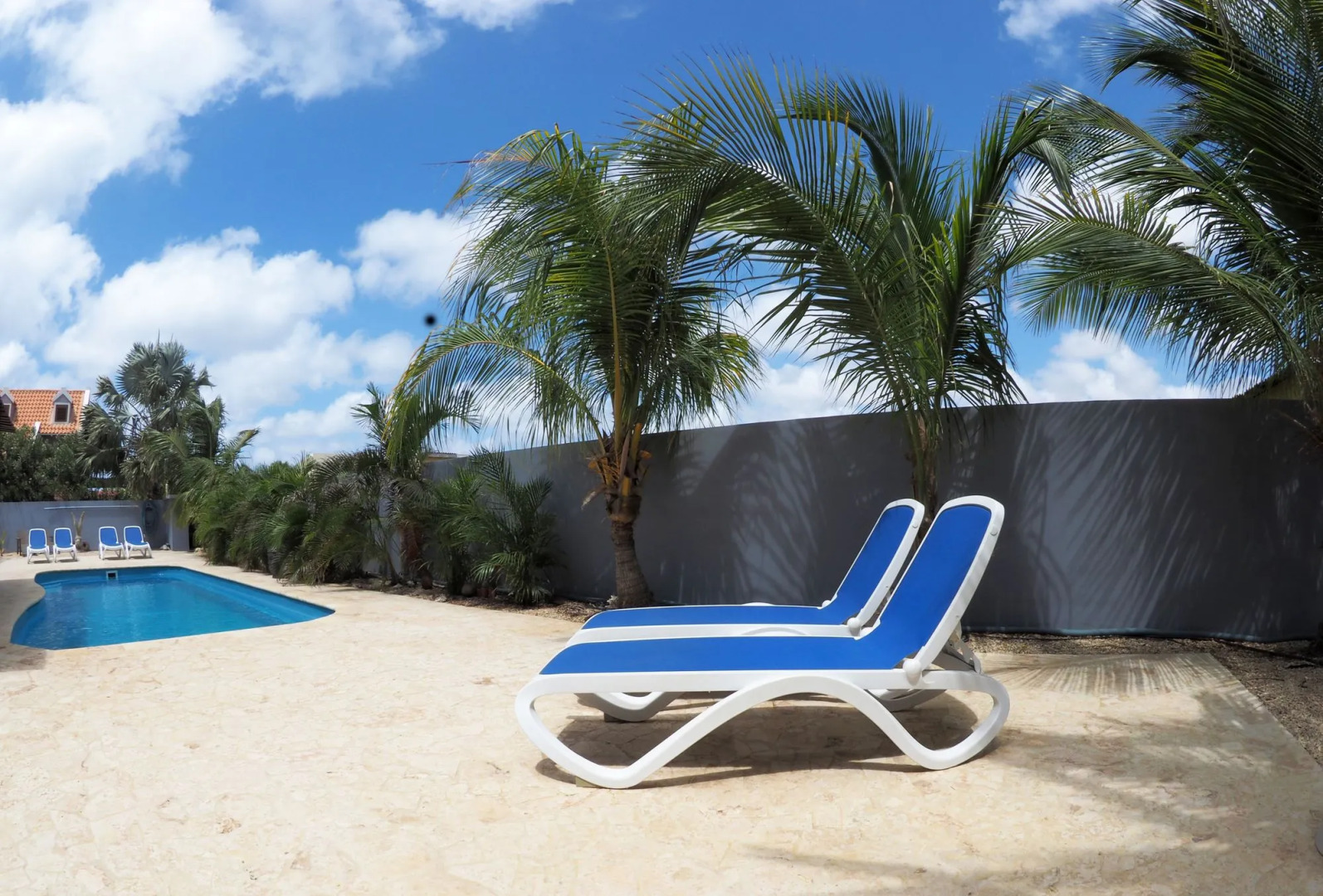 Oasis Guesthouse Bonaire Superior Suite