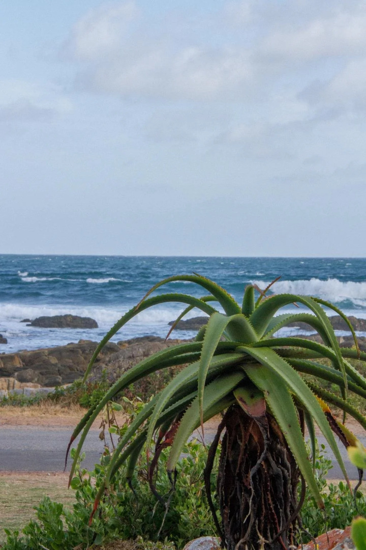 Little Rock Guest House