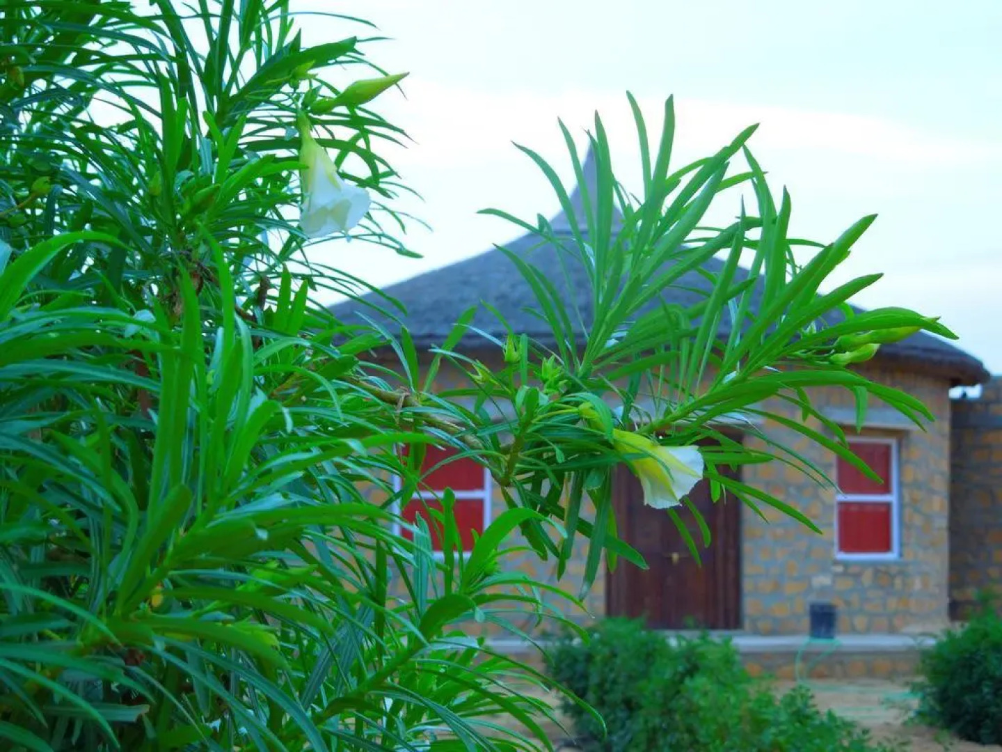 Devi Desert Resort and Retreat