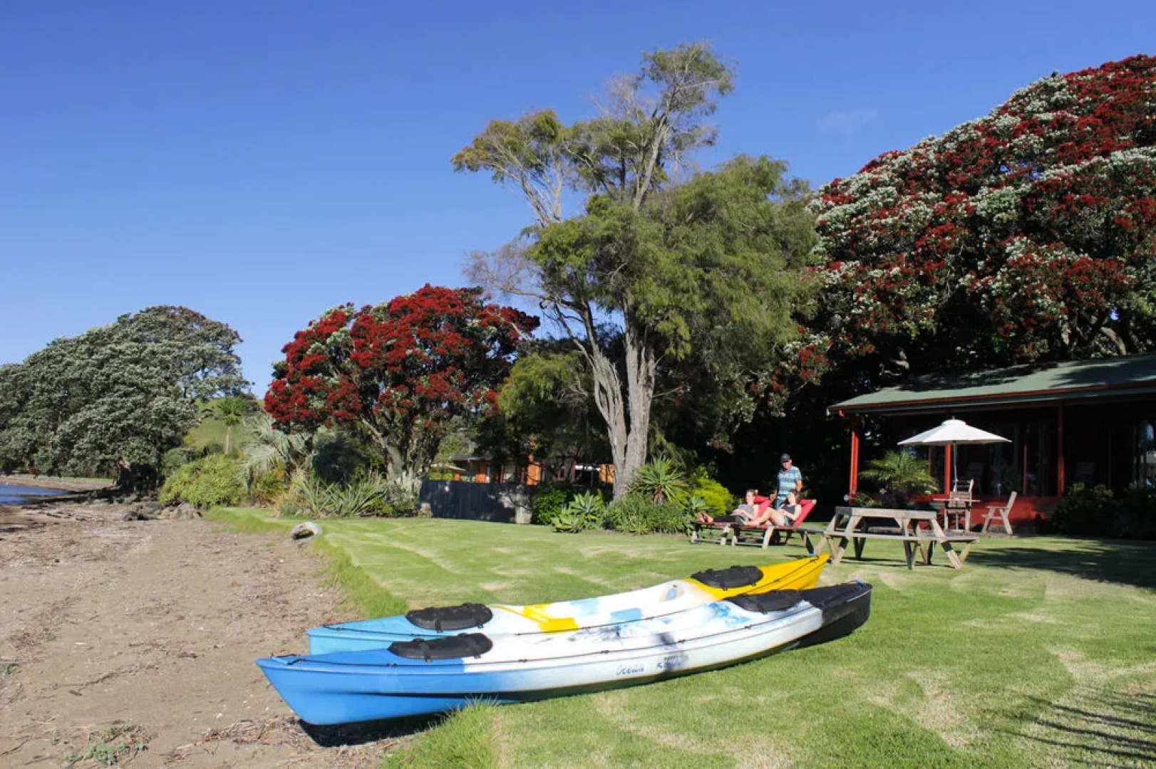 Sanctuary in the Cove