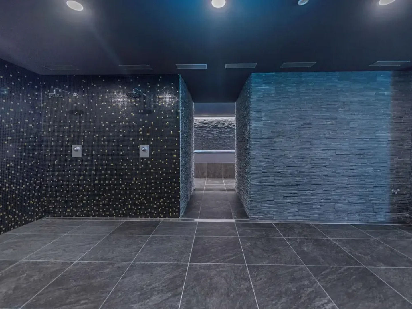 Swisspeak Resorts 3 pi ces Terrace Vercorin