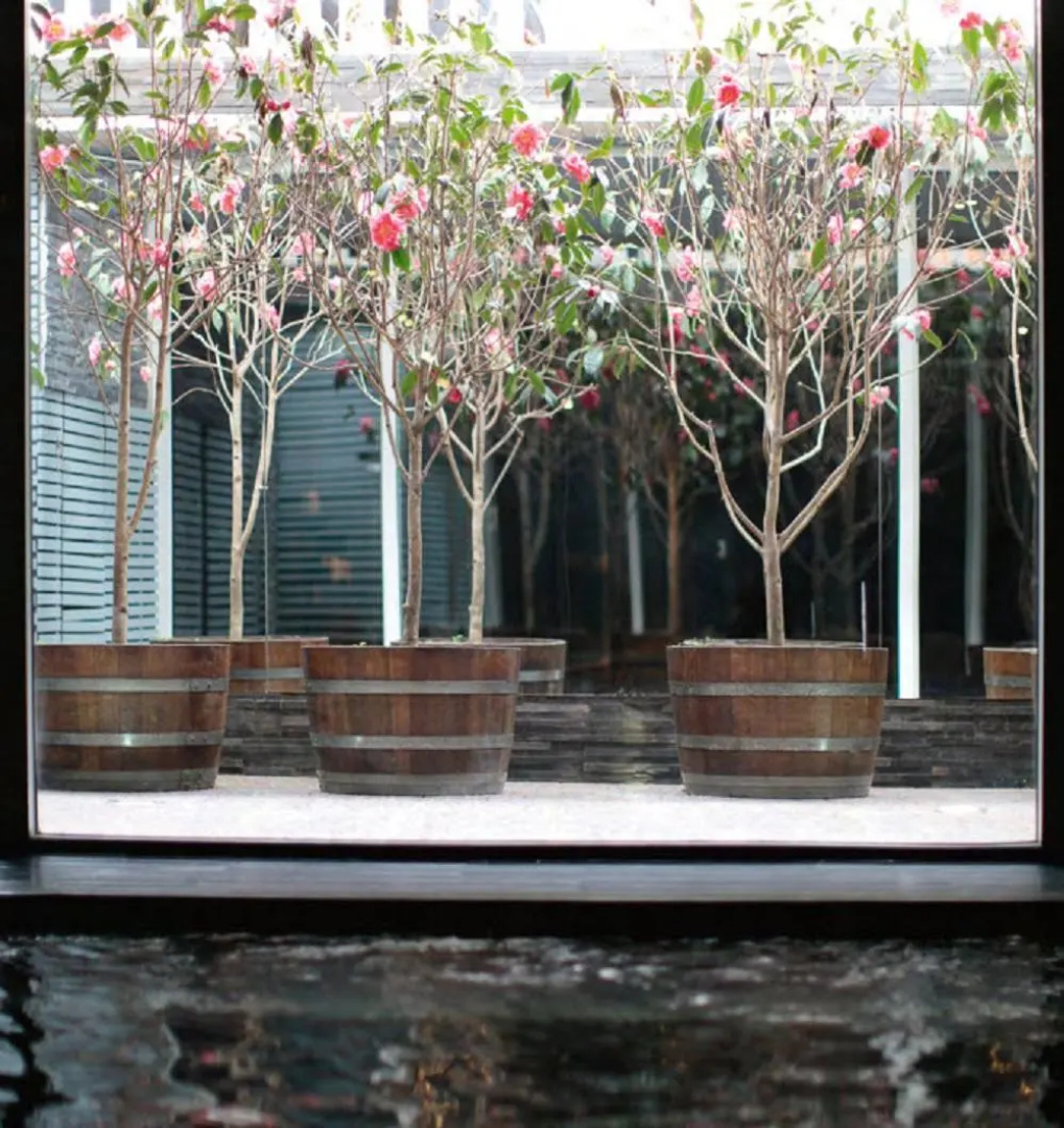 Hotel Palacio Astoreca