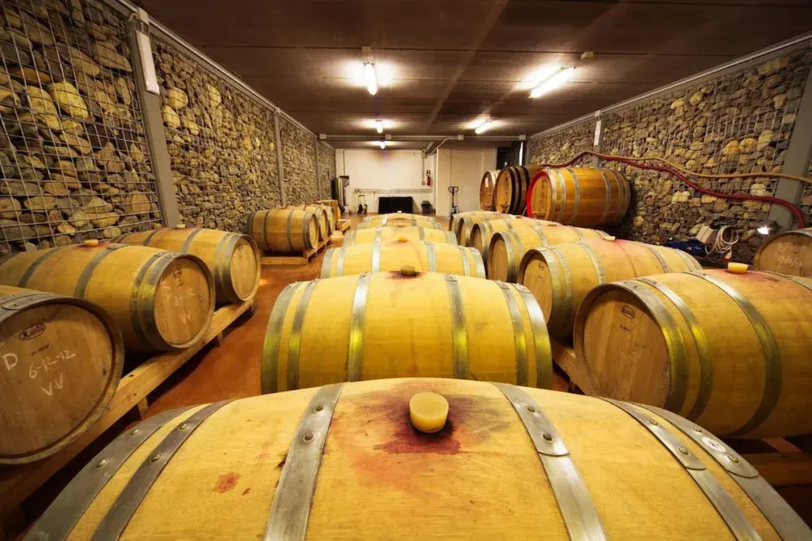 Eco Bio Agriturismo La Bella Vite - Camere Con Vigna