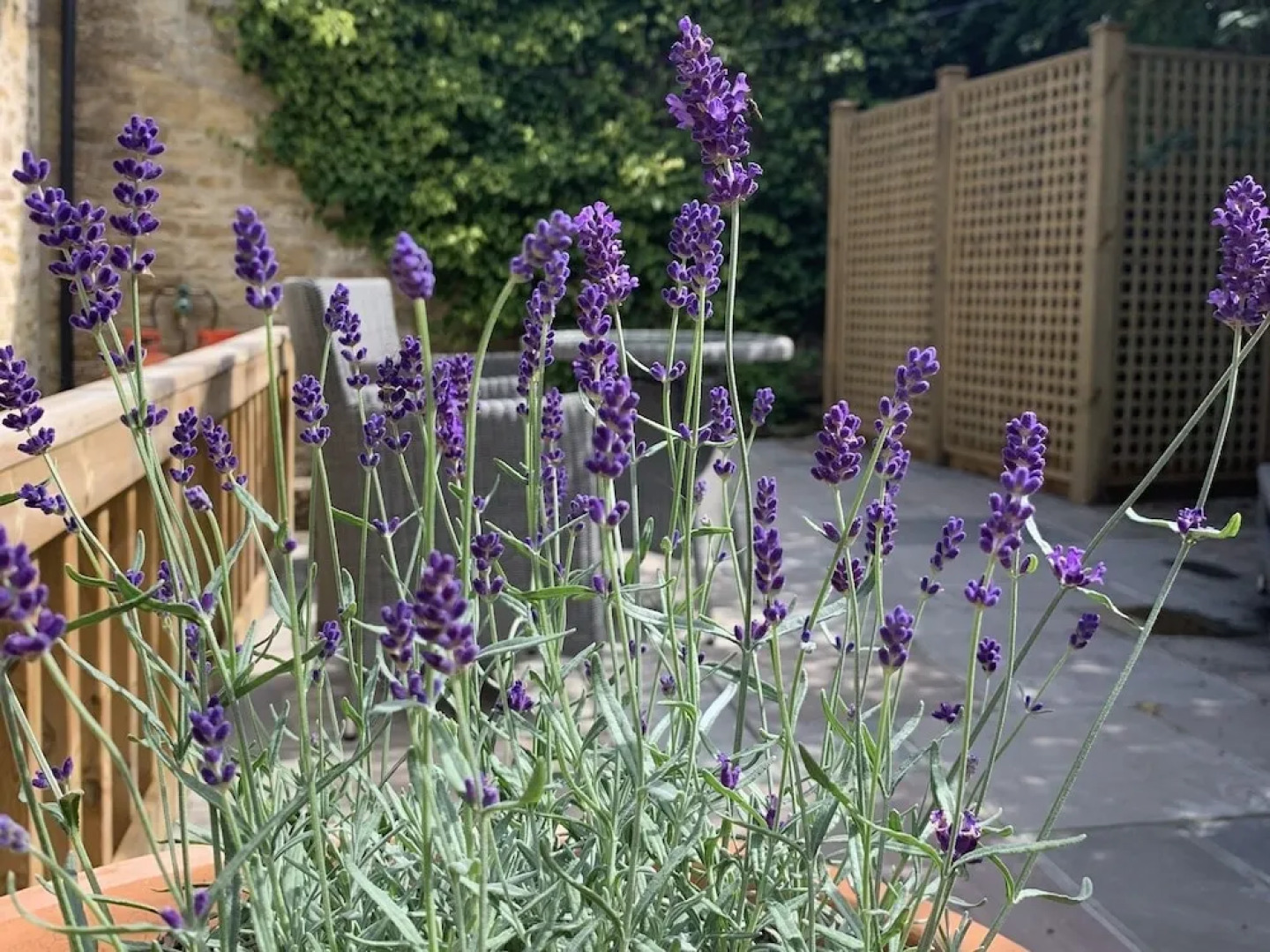 The Cottage, Lower St, West Chinnock