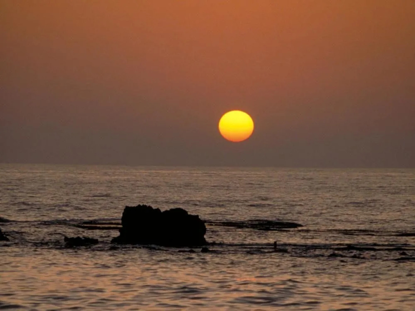 Dan Gardens Ashkelon