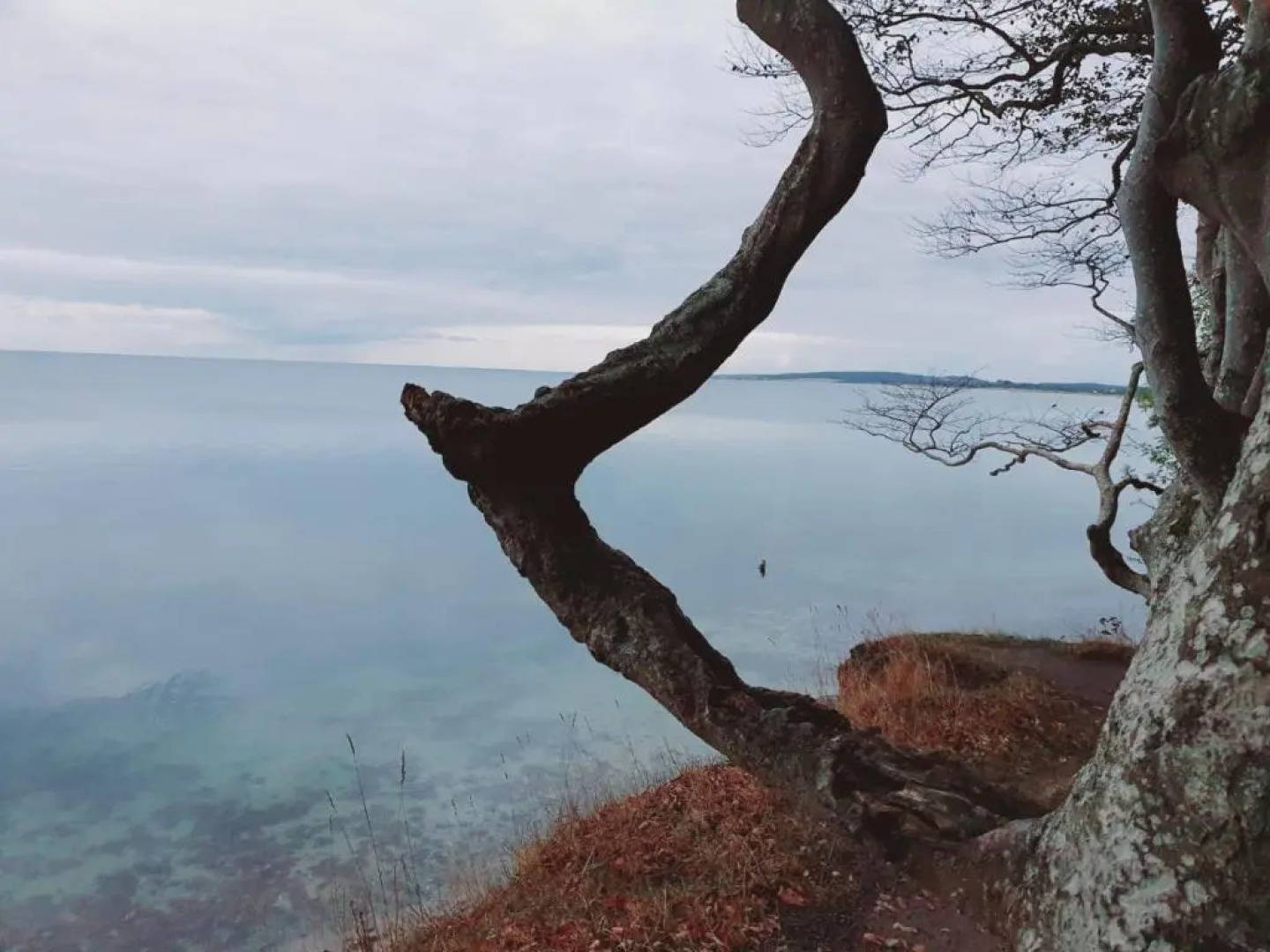 Ferienwohnung Daliah