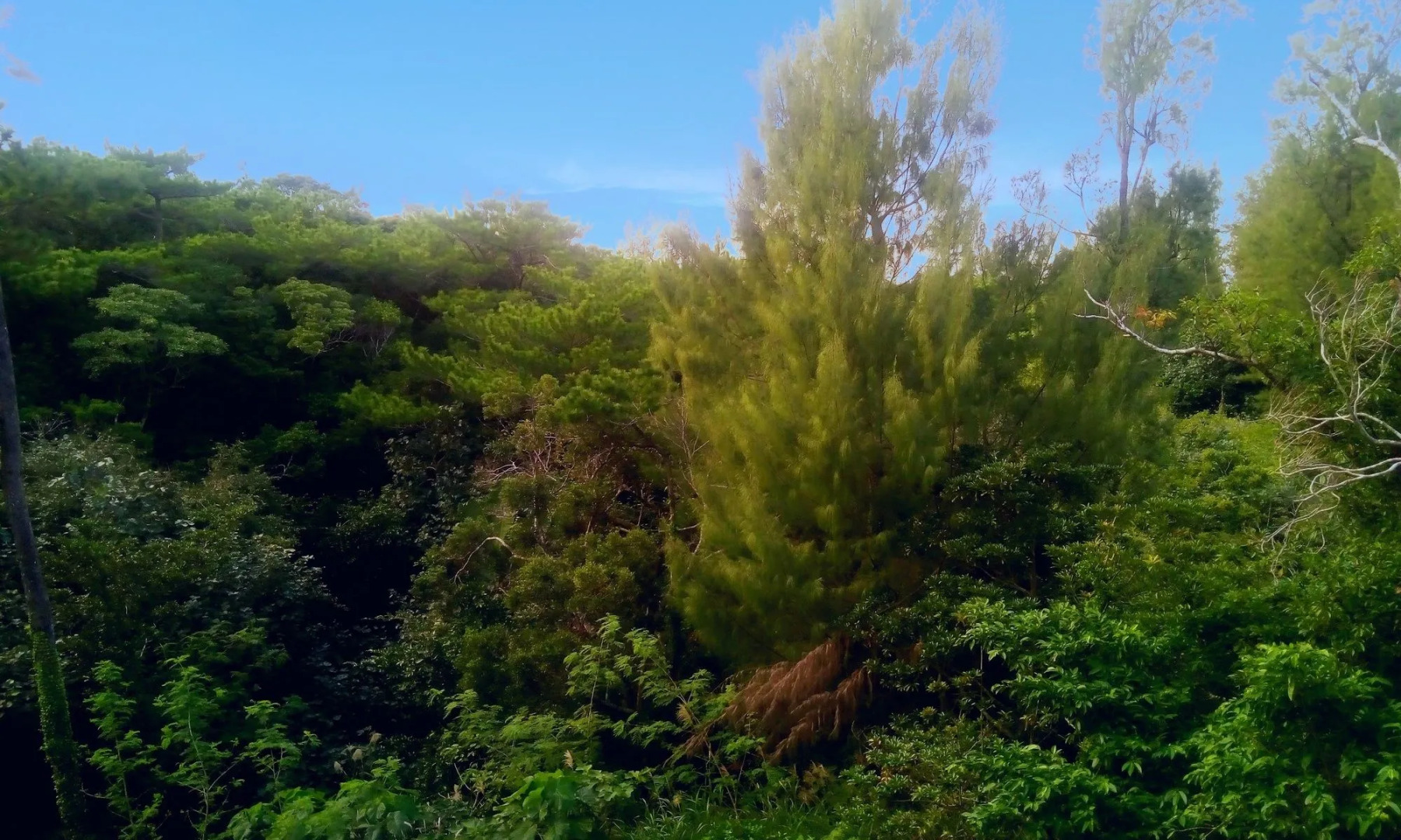 THE PERIDOT Smart Hotel Tancha Ward