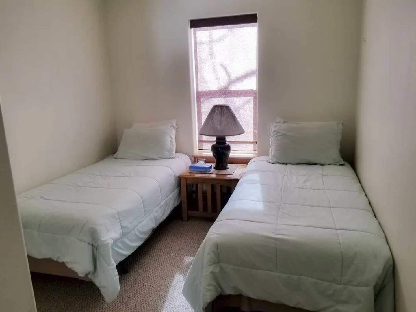 Alpenglow Vacation Rentals