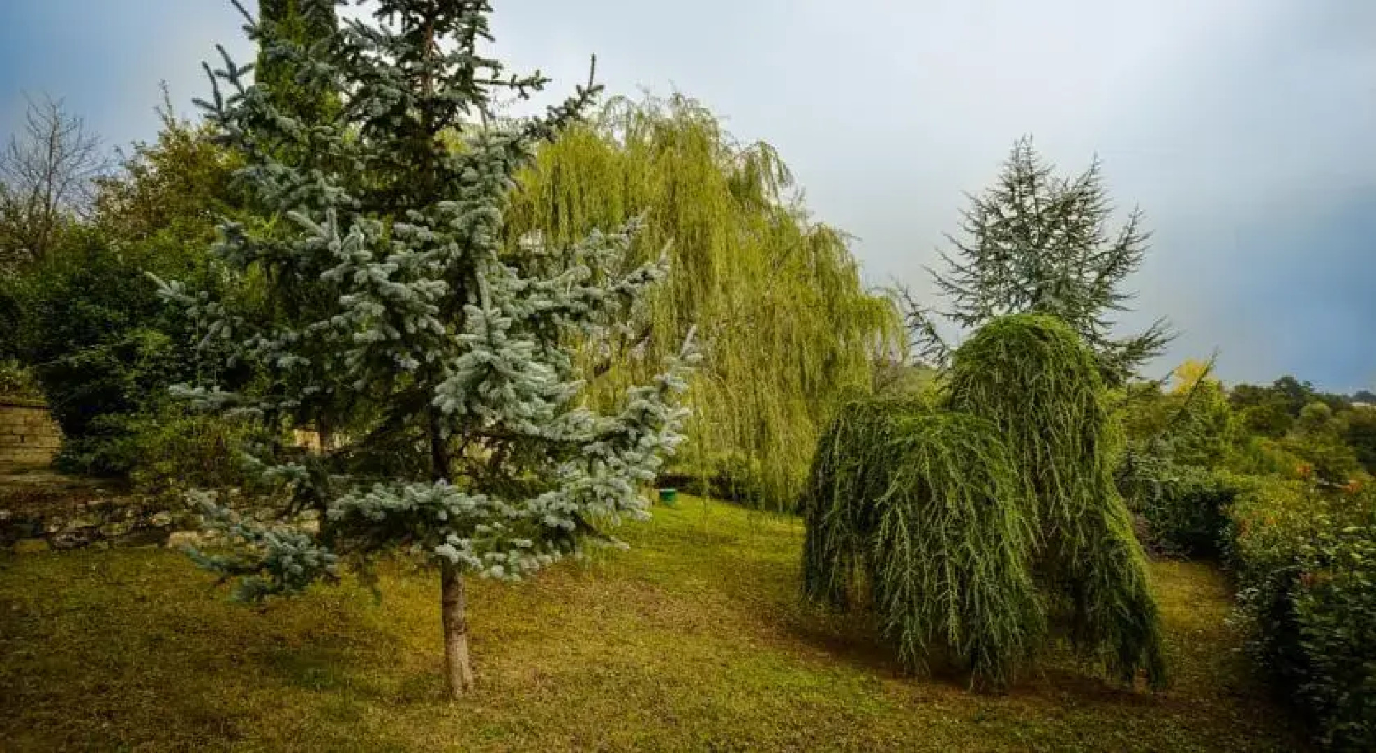 Guesthouse La Casa Del Conte