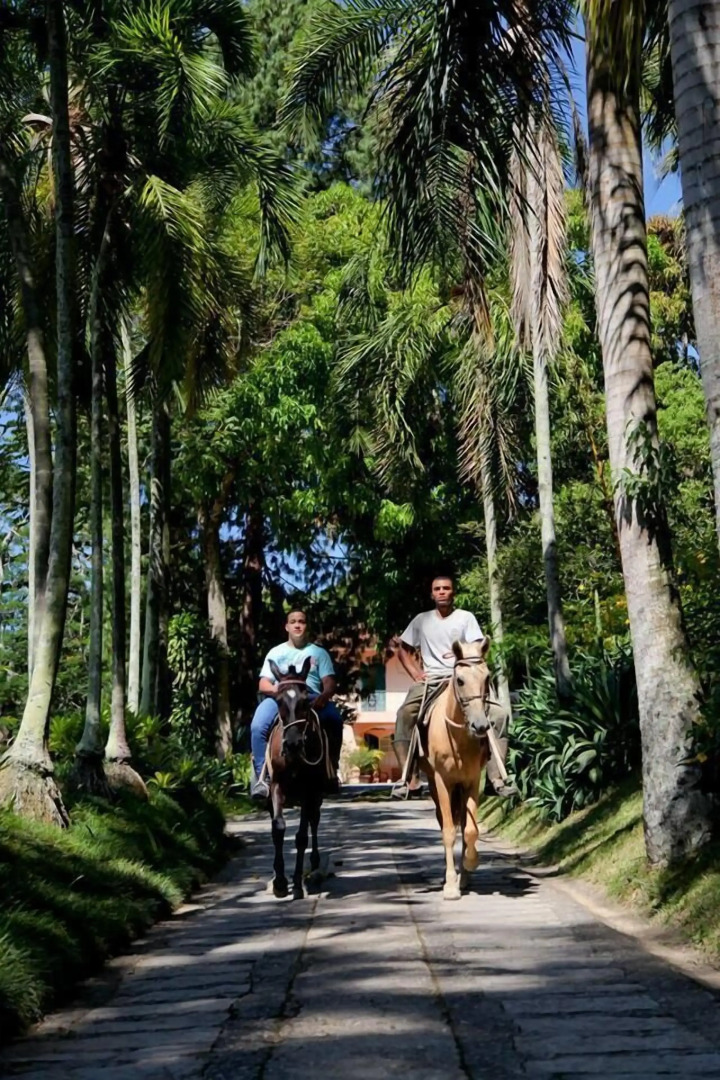 Solar Fazenda Do Cedro