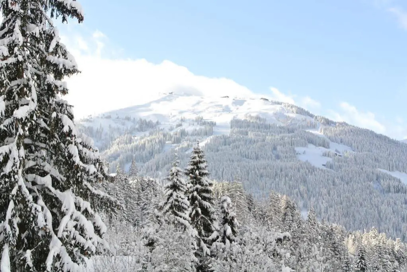 Studio Schwarzenauer