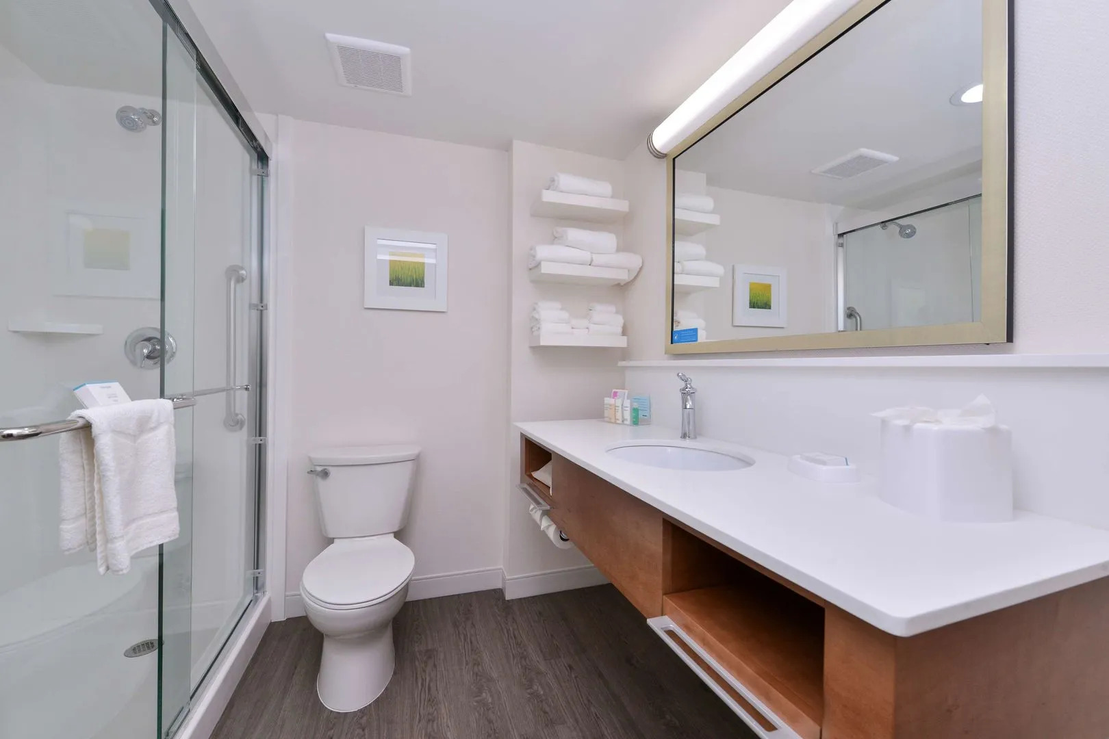 Hampton Inn Cartersville