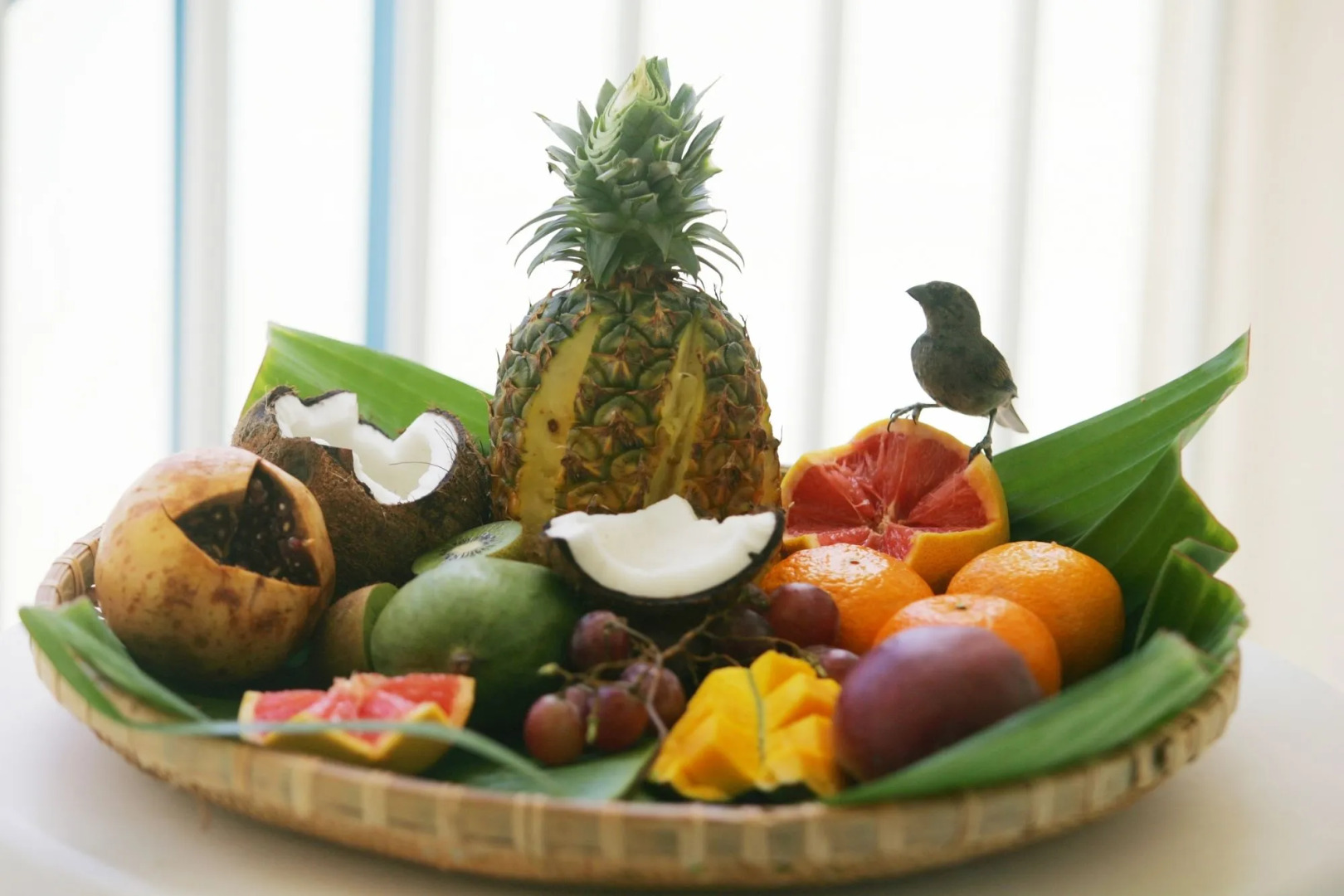 Residence The Marina