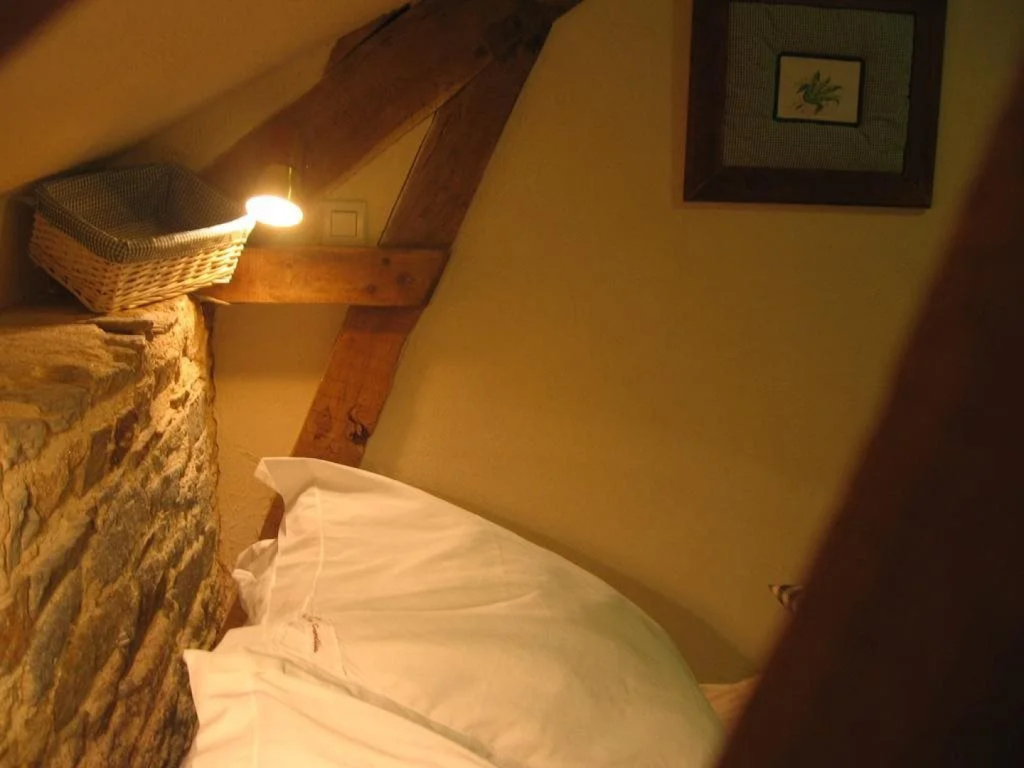 Au Domaine des Camelias