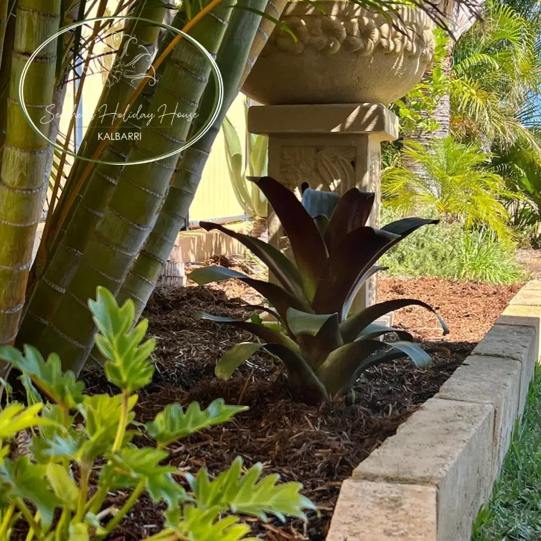 Seashells Holiday House - Kalbarri