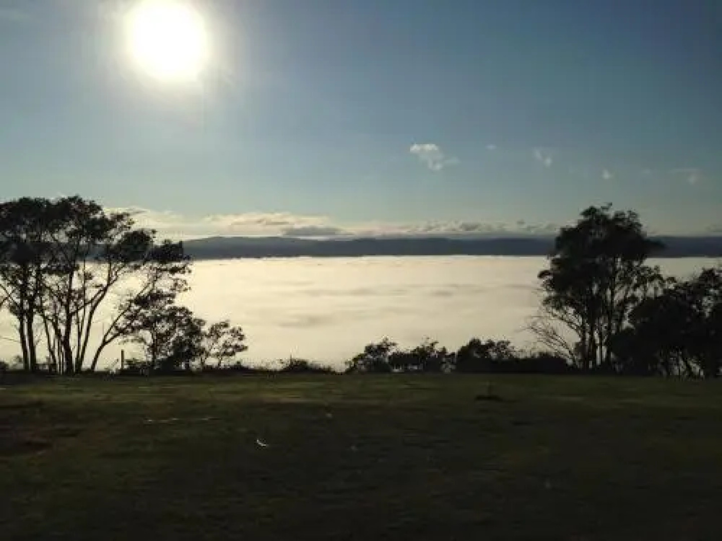 The Villa On Pine Tree Avenue