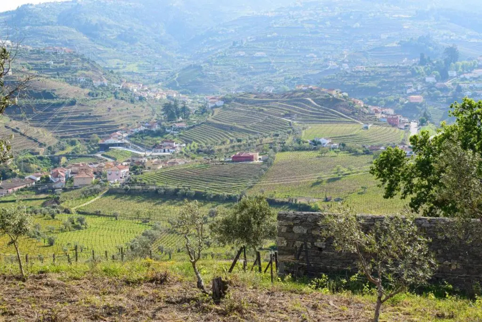 Quinta dos Padrinhos - Suites in the Heart of the Douro