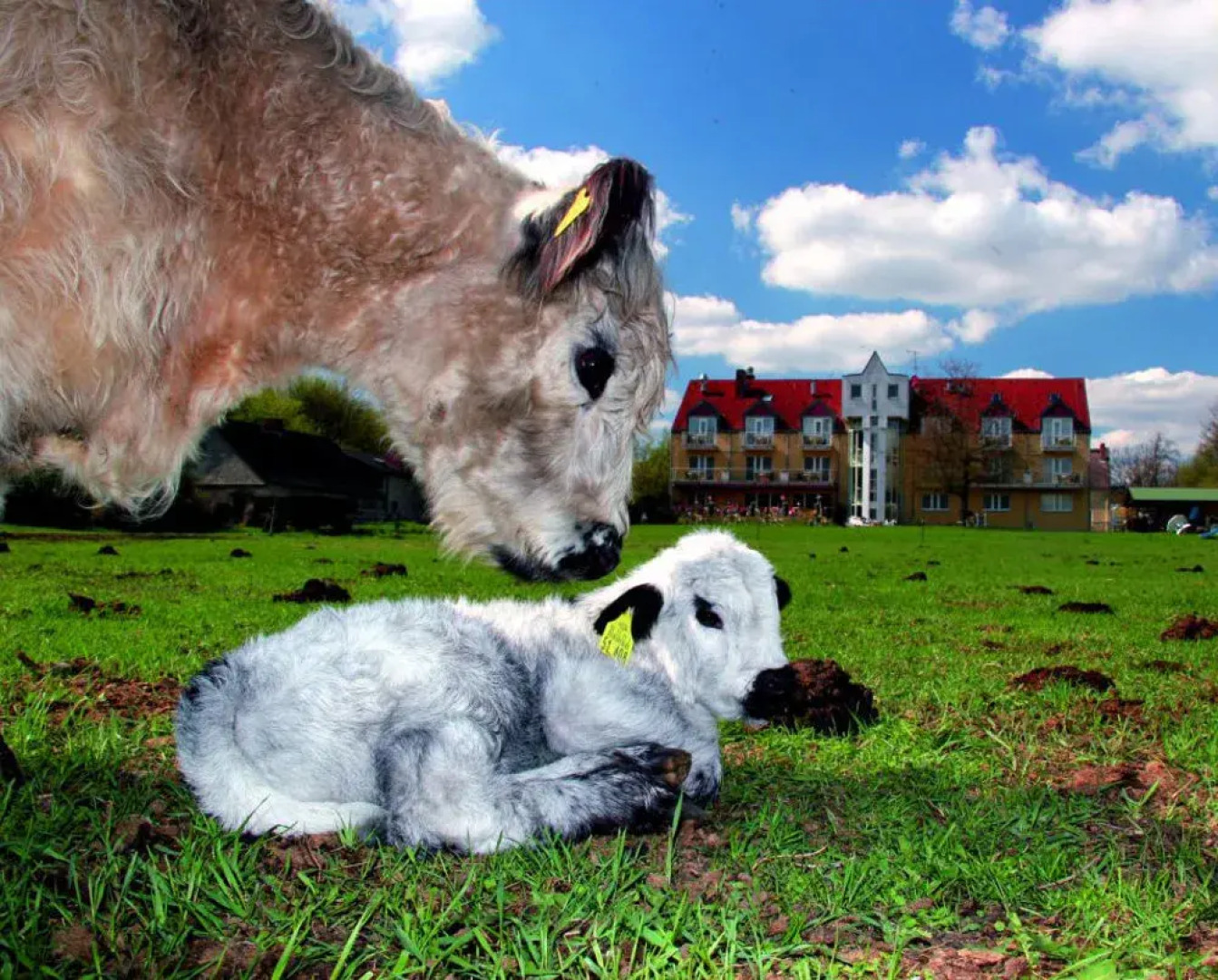 Landhotel Löwenbruch