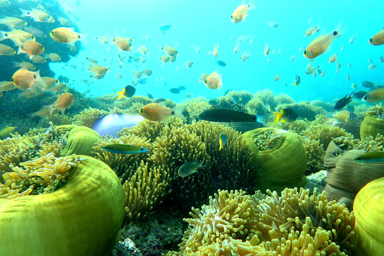 Victoria Cliff Nyaung Oo Phee Island