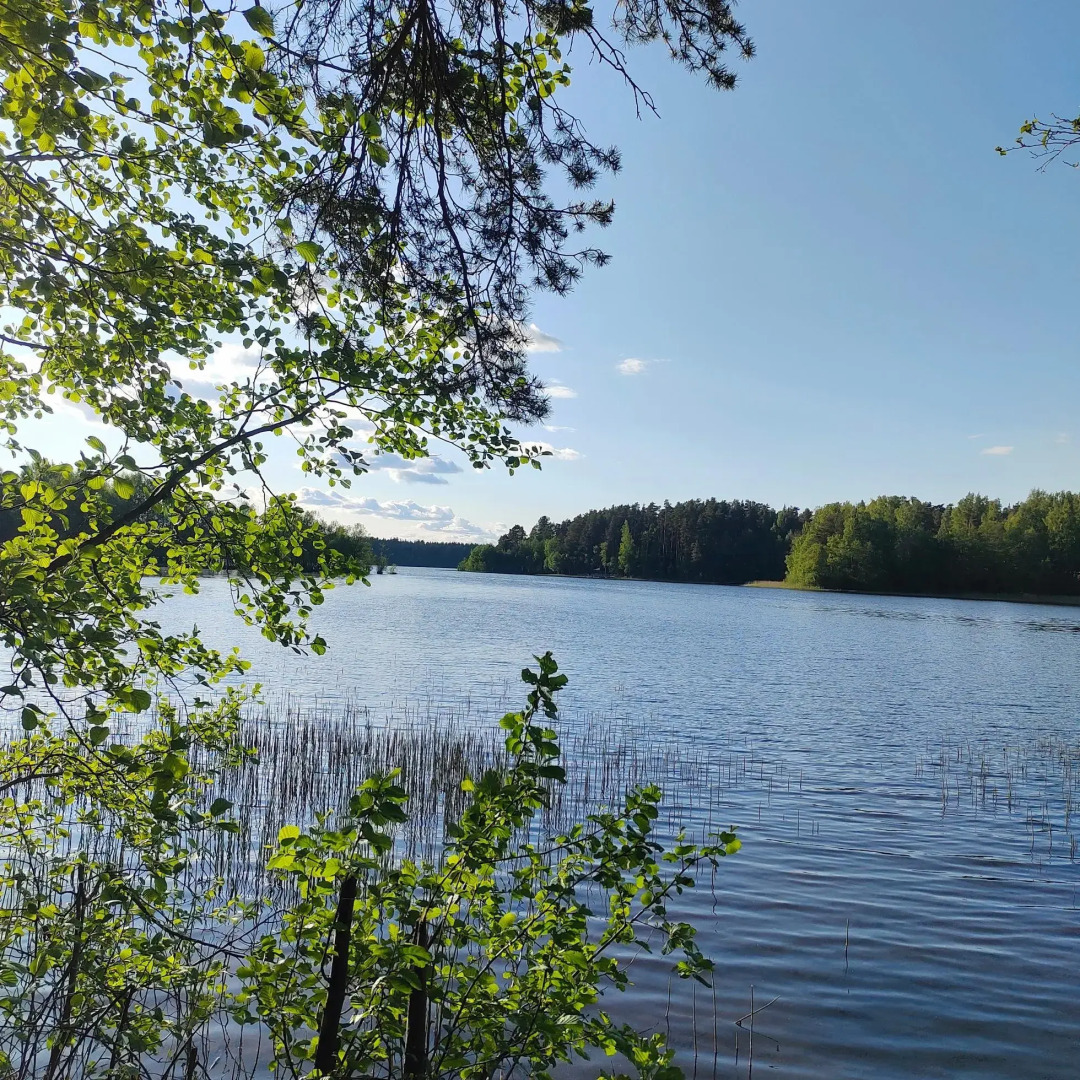 Уютный домик