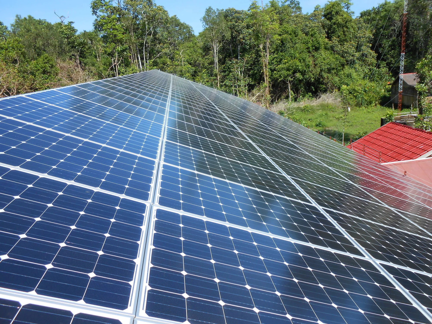 Rimba Orangutan Eco Lodge