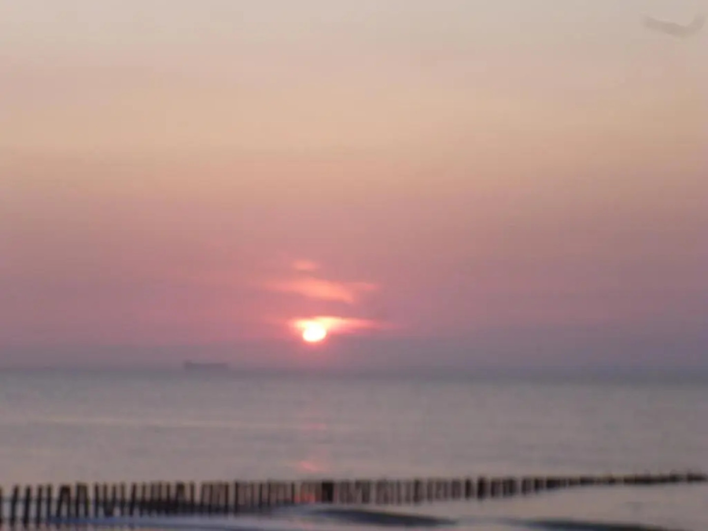 Appartement Sangatte Skipper