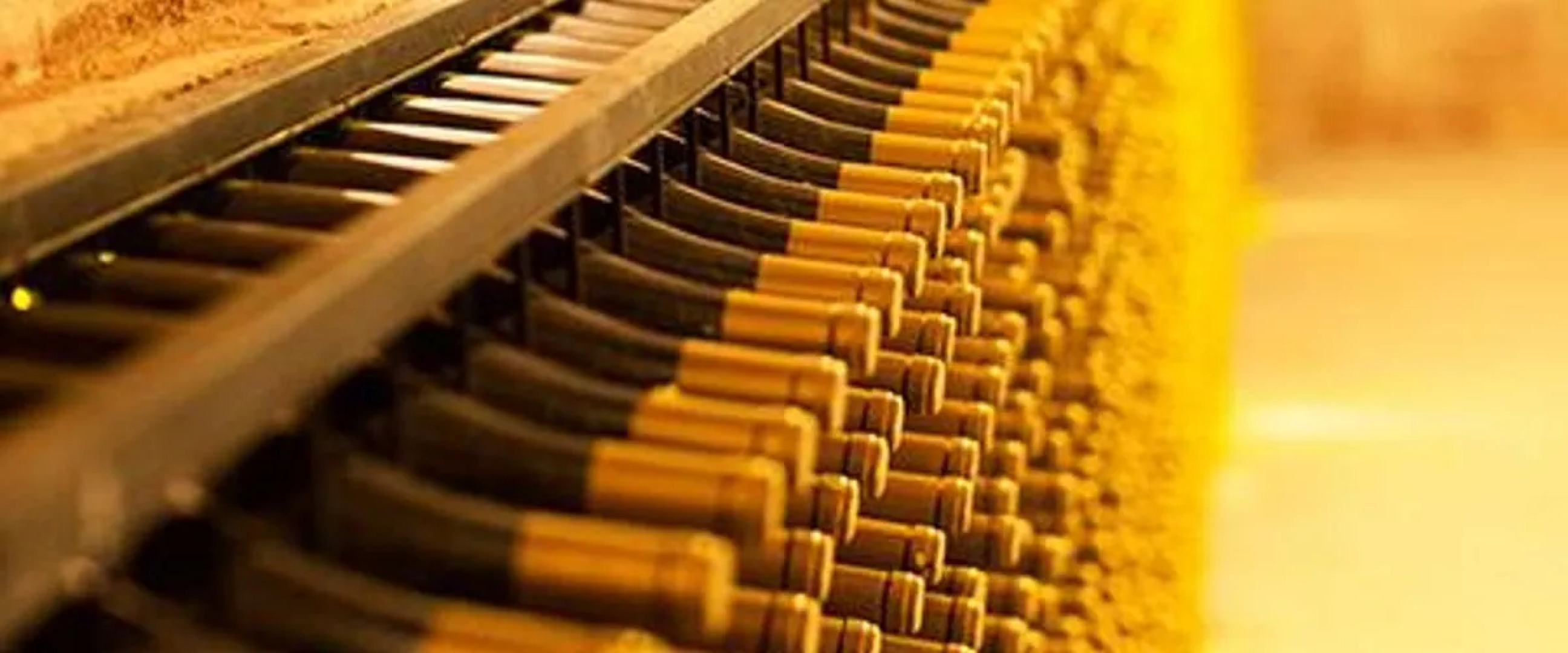 Villa Estet Bağ Oteli