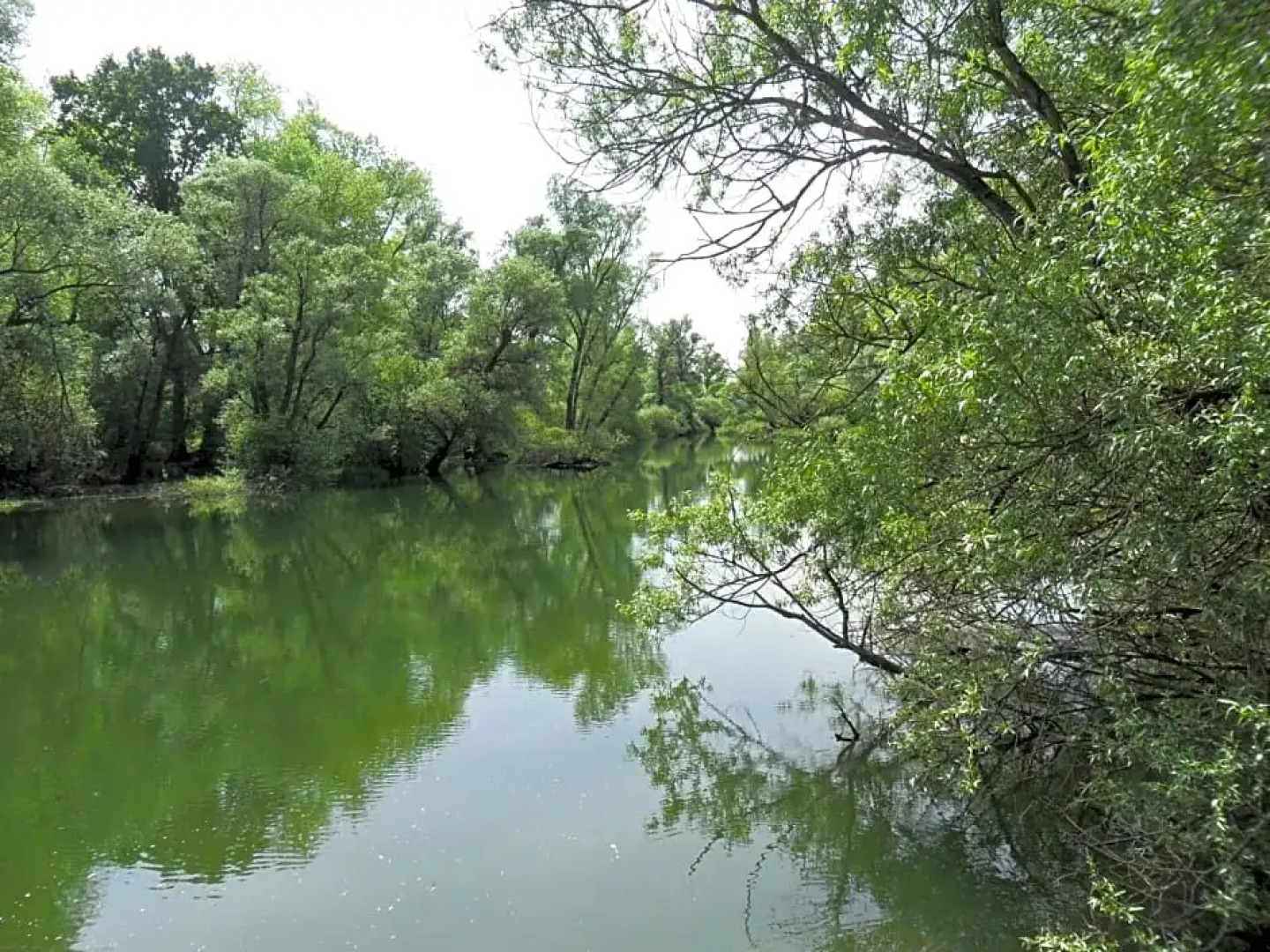 Chambres d'hôtes de la Petite Vallée.