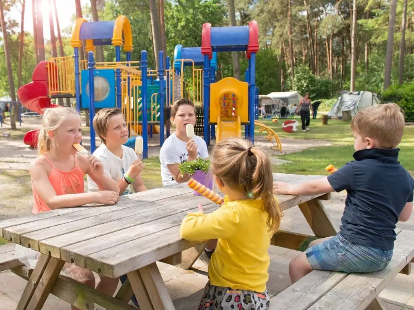 Likeable Chalet with Terrace near Oisterwijkse Vennen