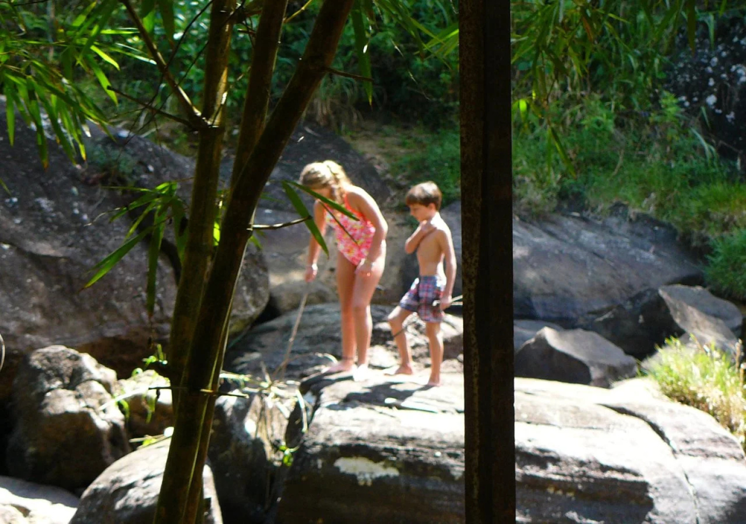 White House Adam's Peak