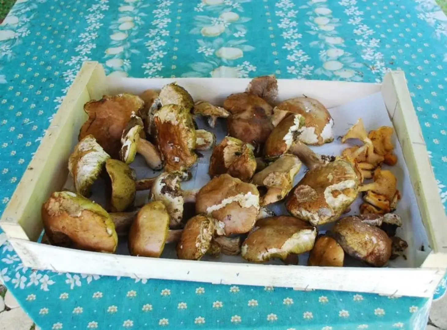 House With one Bedroom in Sainte-alvère, With Private Pool, Furnished