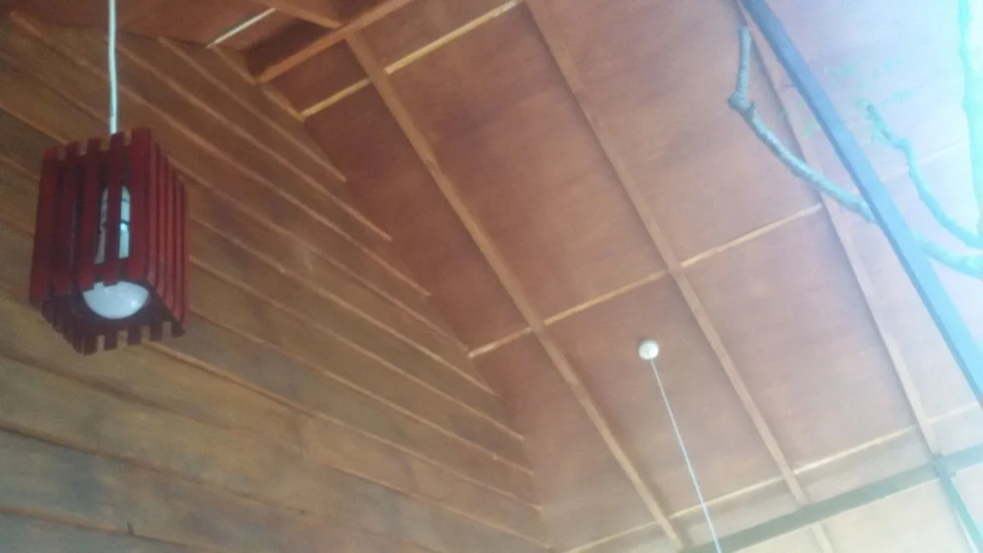 Elephant corridori camping