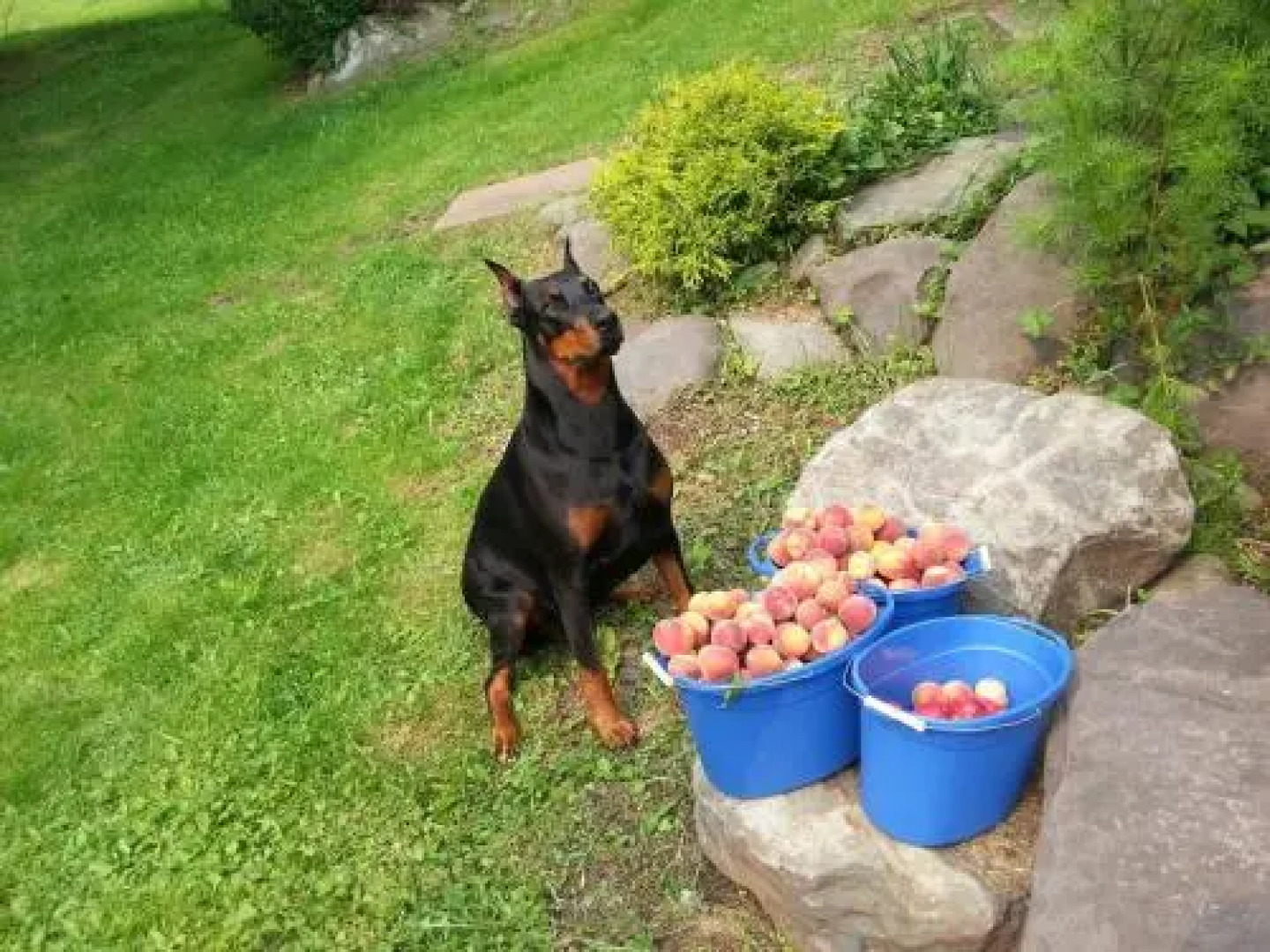 Hunter Mountain Resort