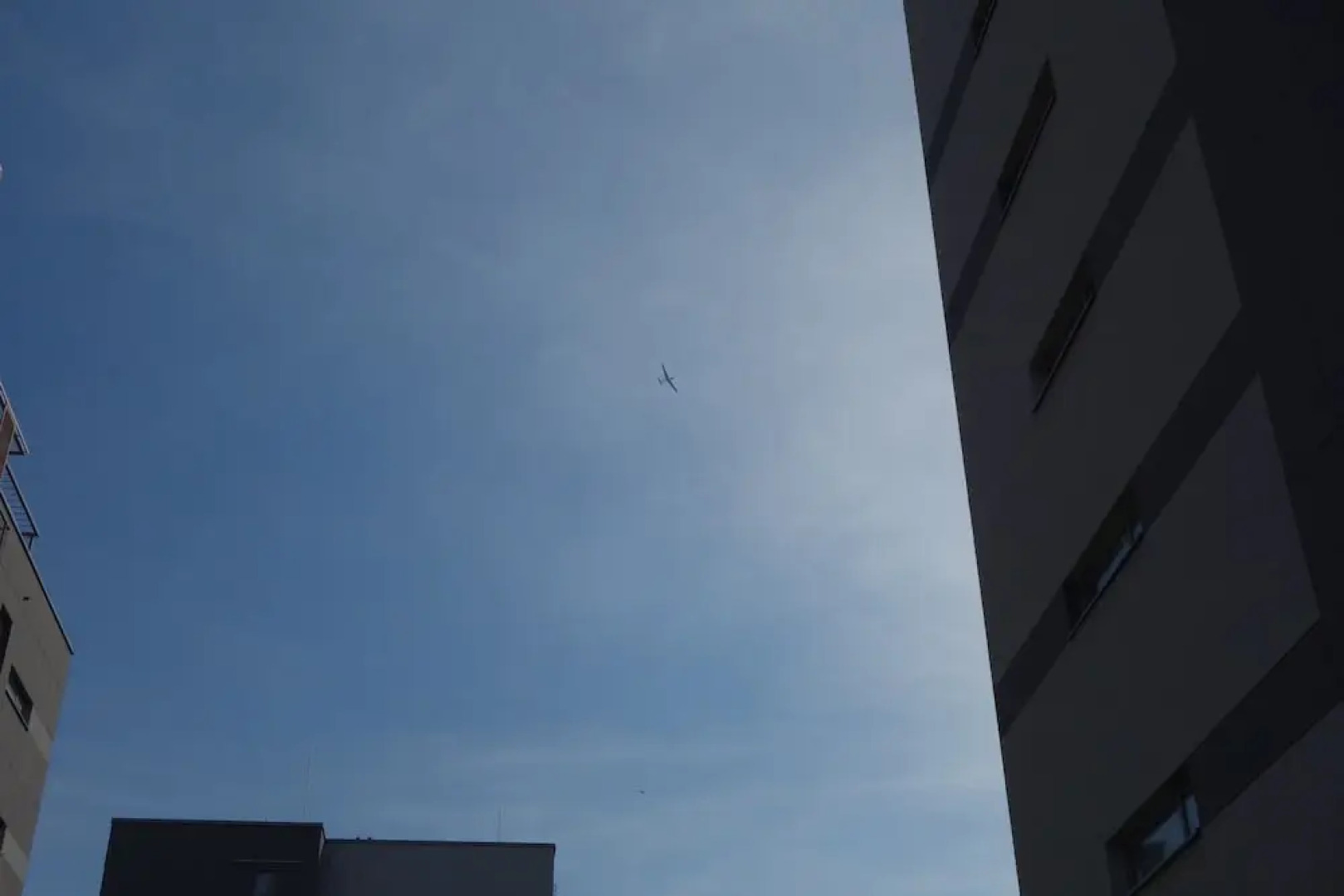 1 bedroom Francuska Park Apartment