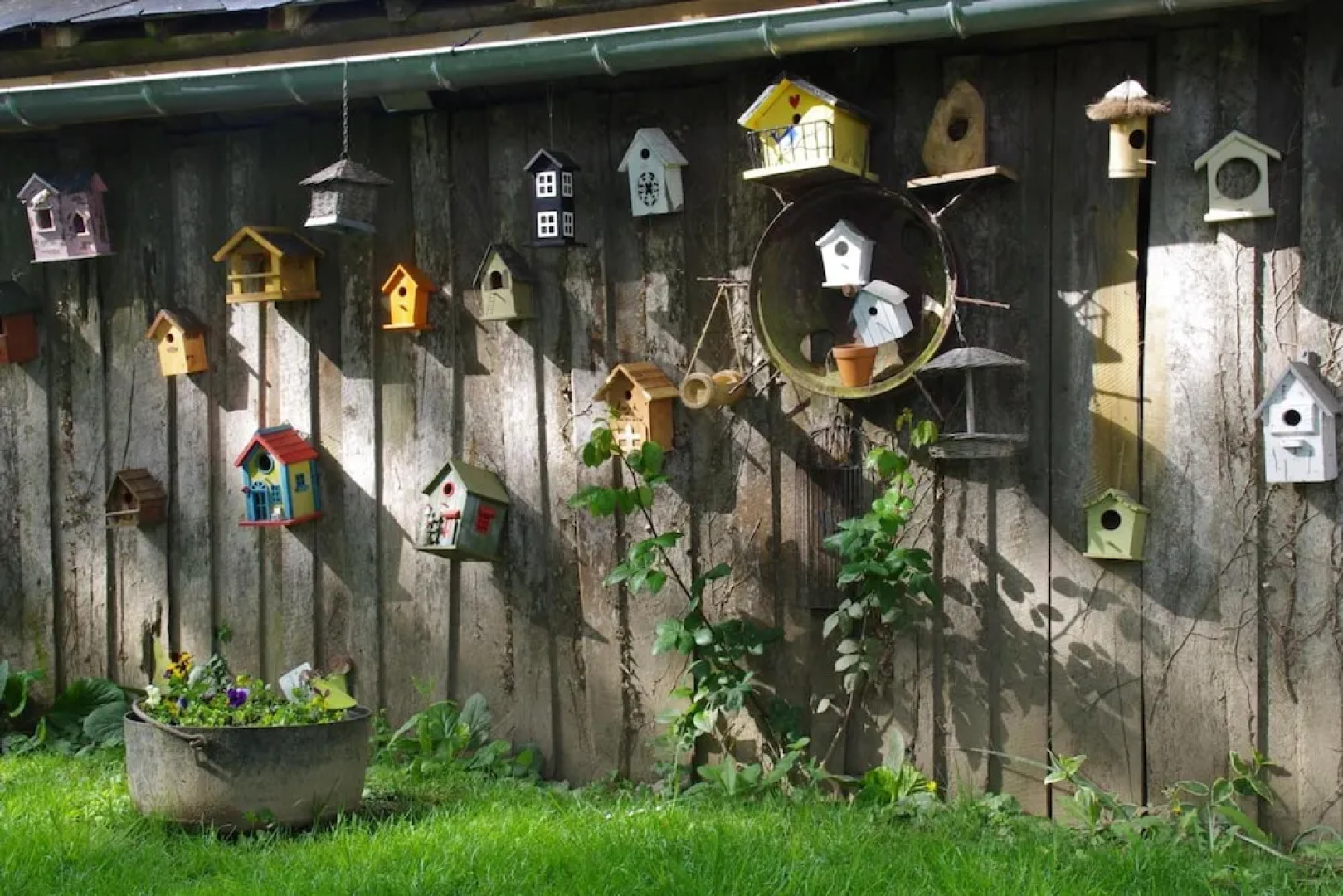 Château Bily Chambres d'hôtes