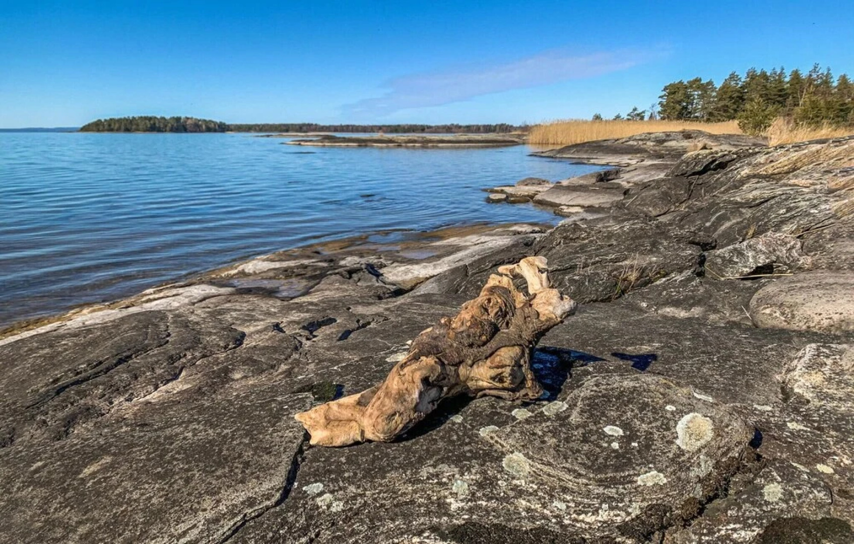 Nice Home in Säffle With Wifi and 3 Bedrooms