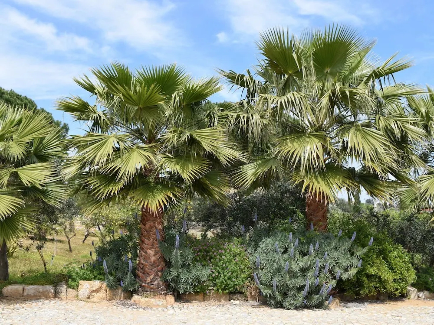 Cottage in Santa Flavia With Swimming Pool, Terrace,barbecue