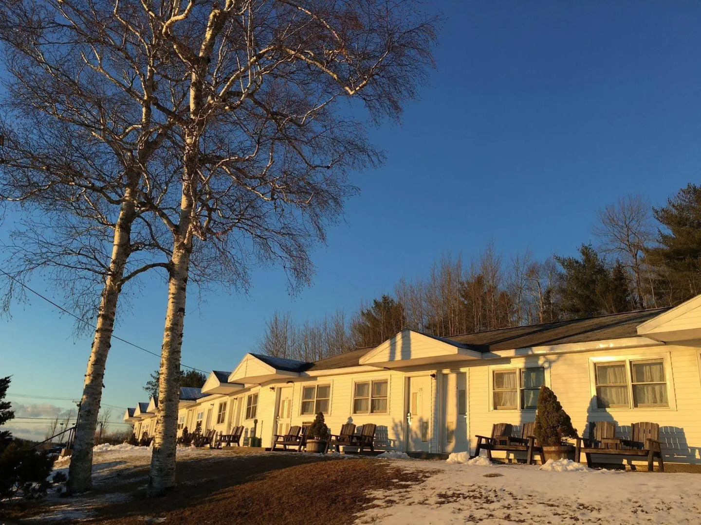 White Birches Motel
