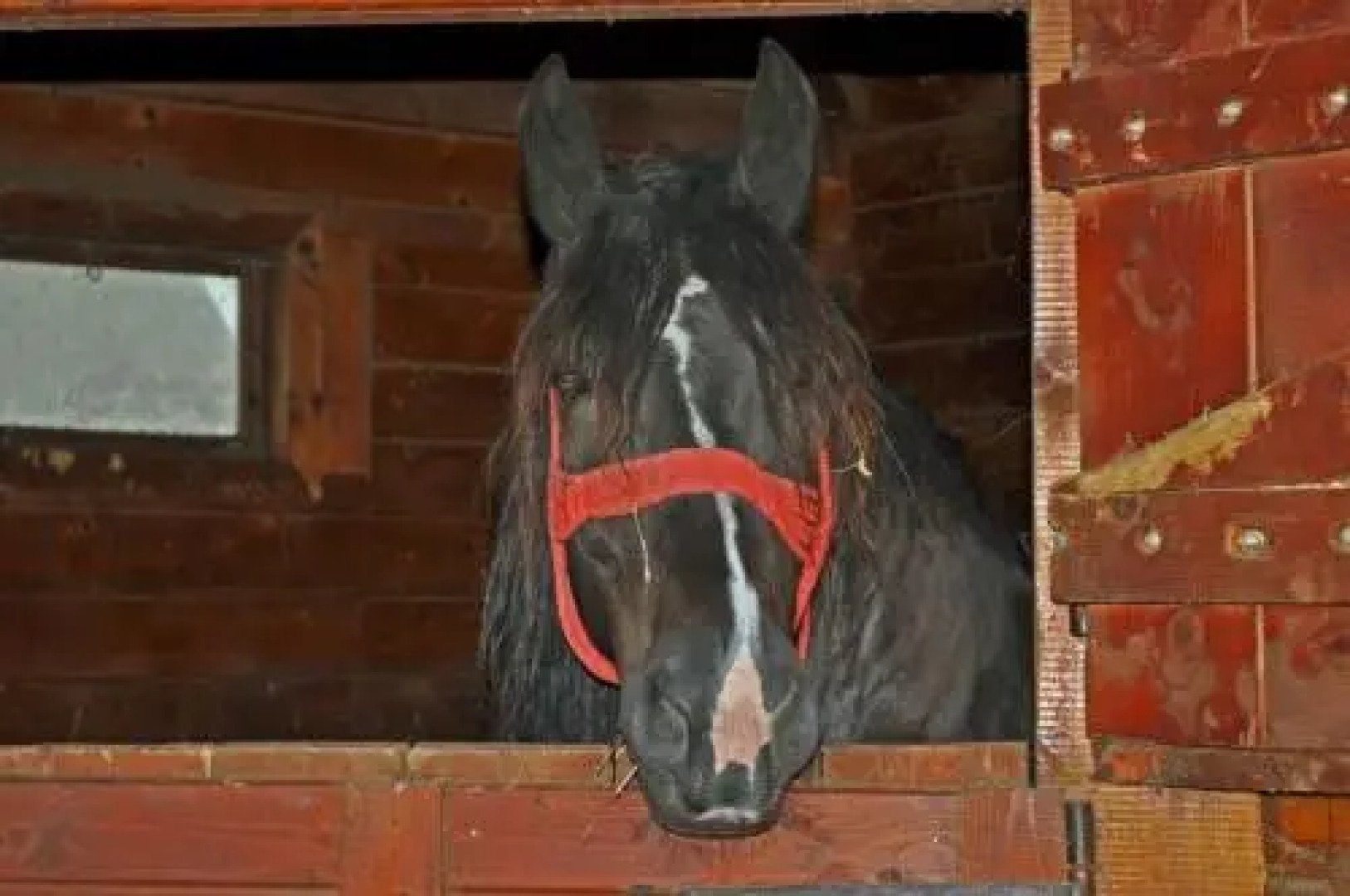 Pensiunea Cheile Apusenilor