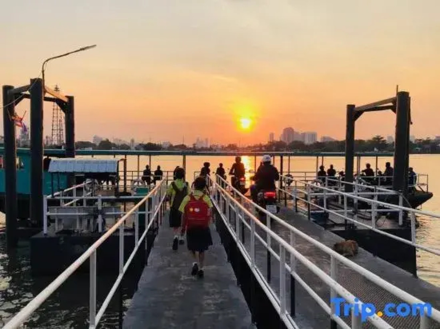 The Bird Nest Homestay& Coffee Shop