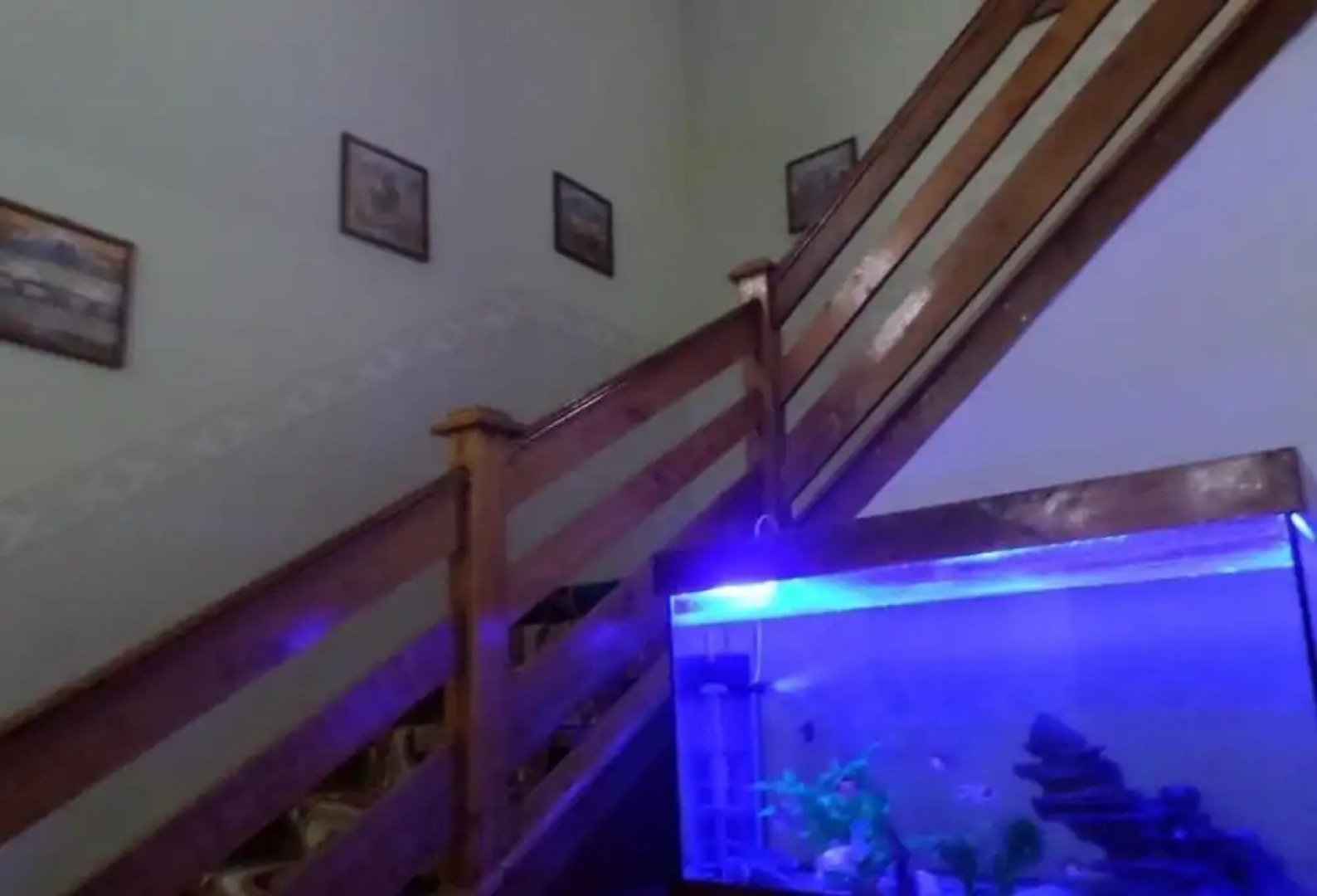 Хостел Vacation House