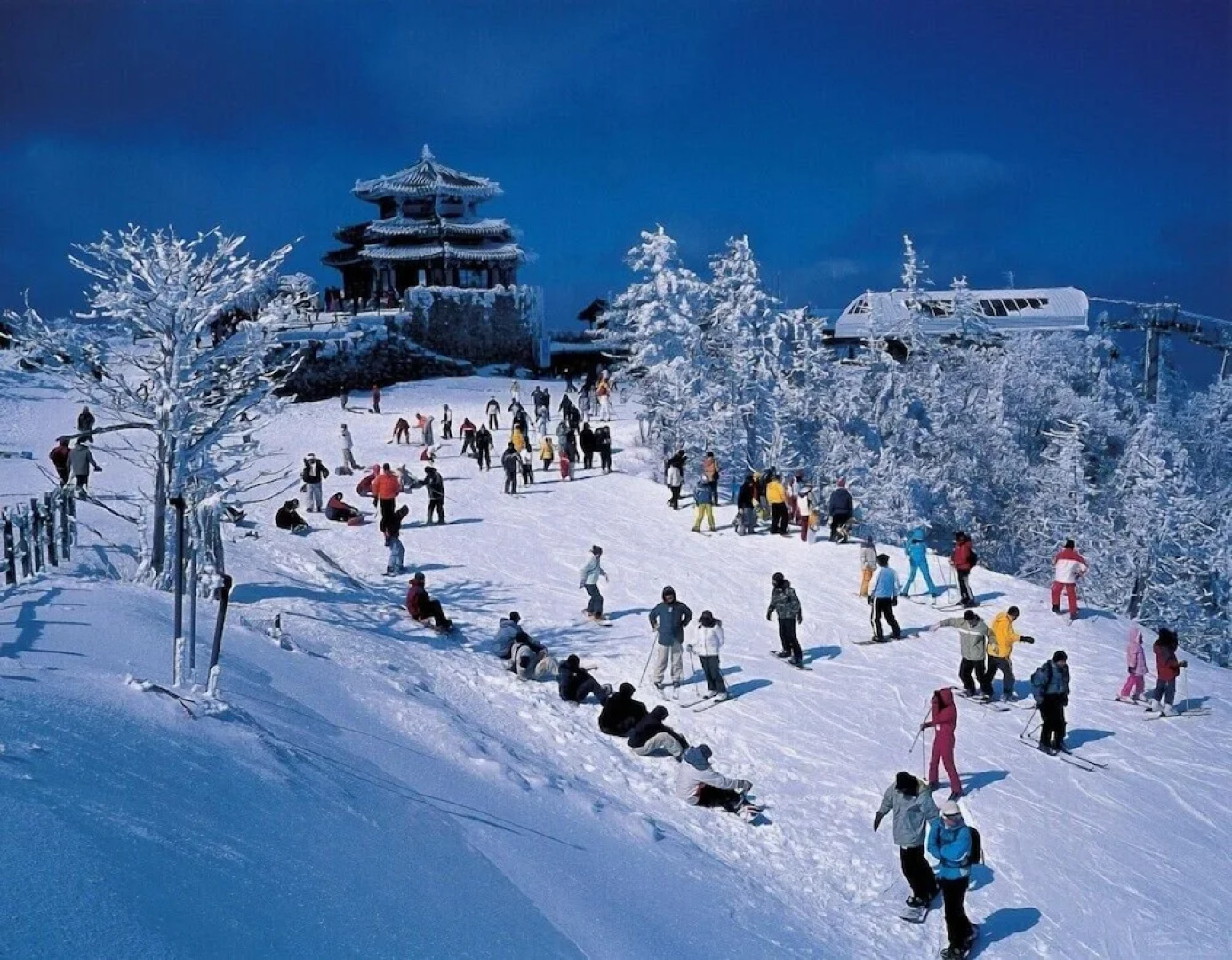 Muju Cherish Pension